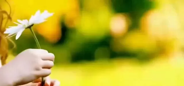 《偏偏宠爱》影视化启动确认，改编自晋江同名小说 - 相关图片