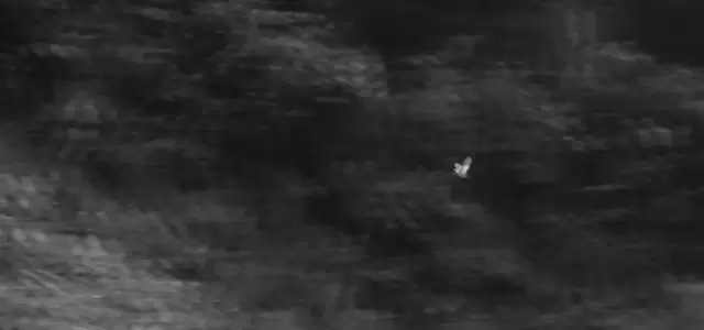 毕赣短片《金刚经》重映：800元成本奠定凯里宇宙影像根基 - 细节速览