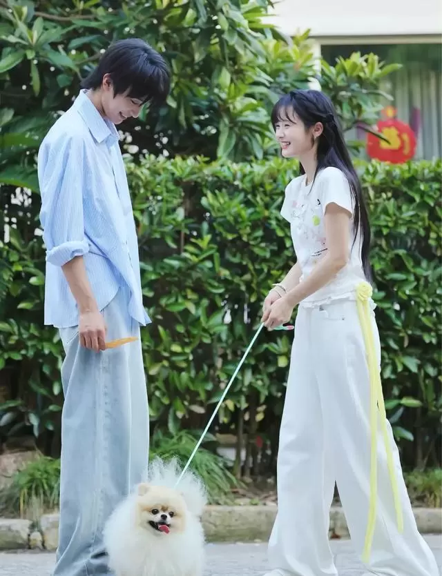 张翅至春禾第四度合作剧《败犬与天鹅颈》上线24小时收藏破78万 - 细节速览